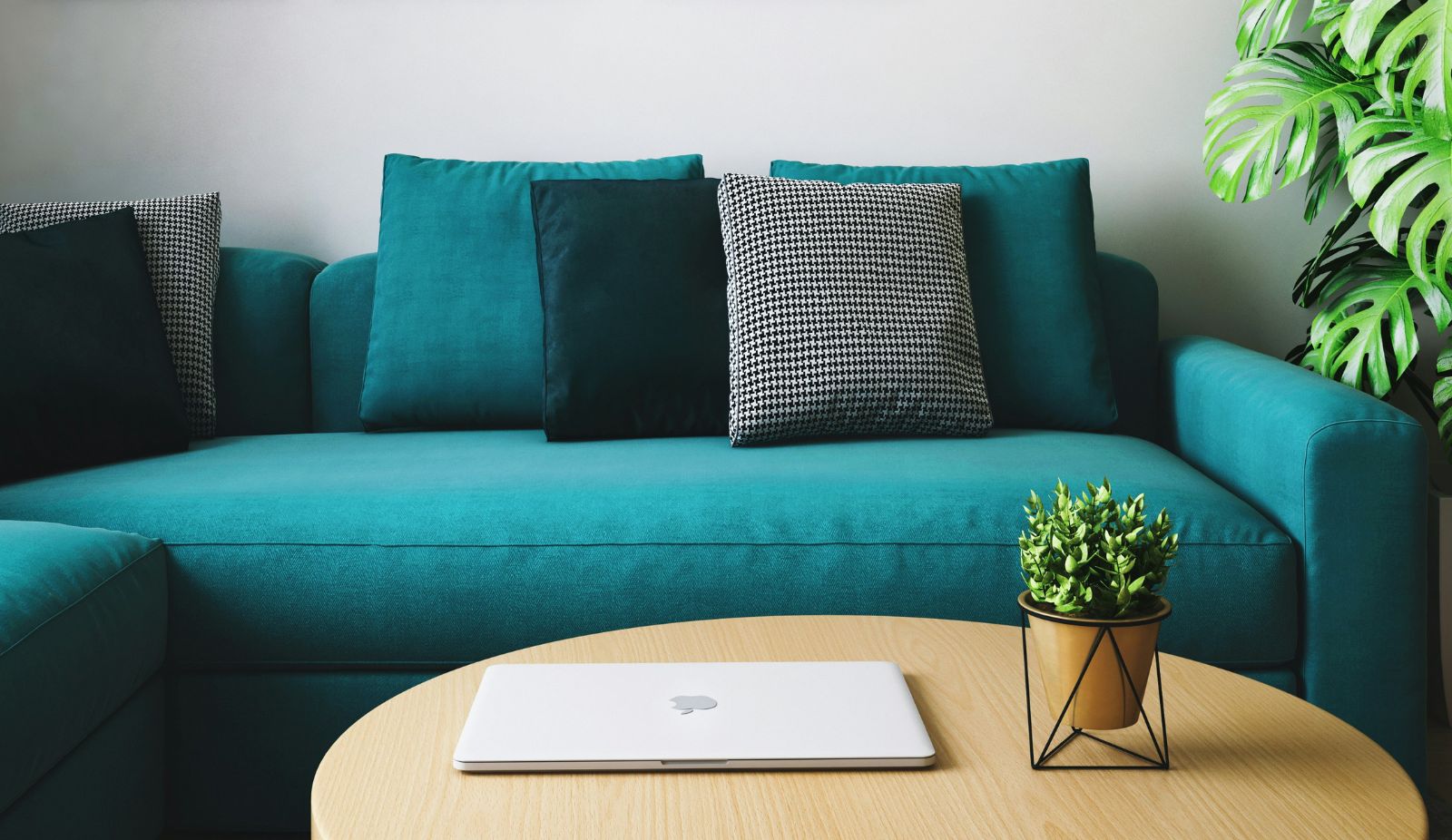 color del sofa